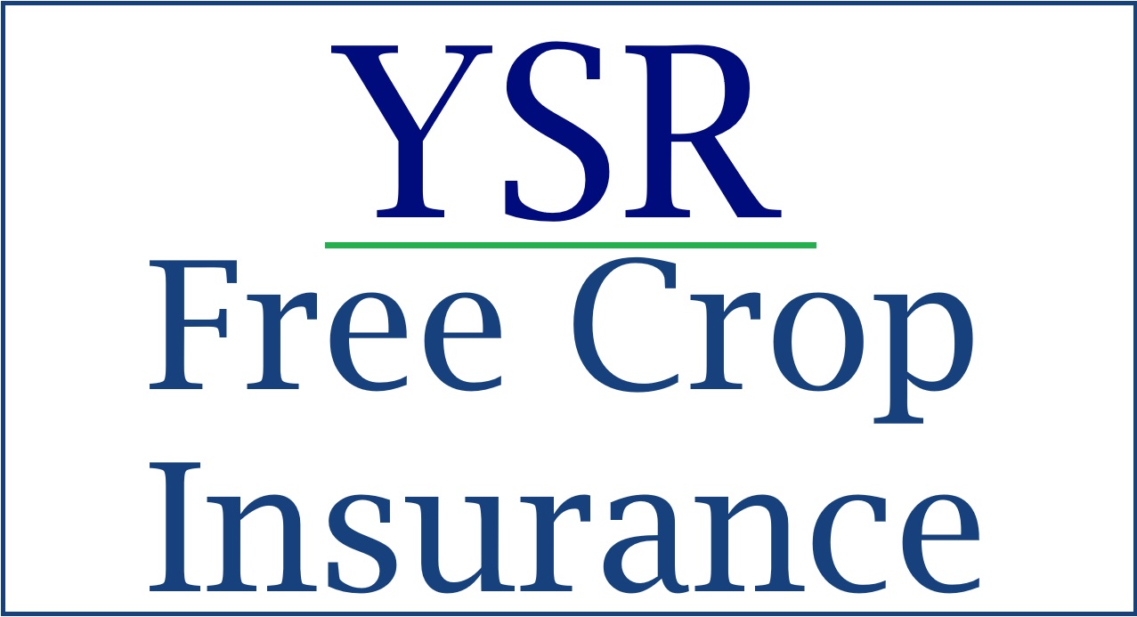 YSR Free Crop Insurance Status Beneficiary List 2023 Apply YSR Free Crop Insurance Status Beneficiary List 2023 Apply